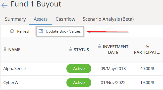 Fund - Manuel Book Value.png