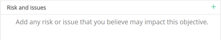 risks_issues.png